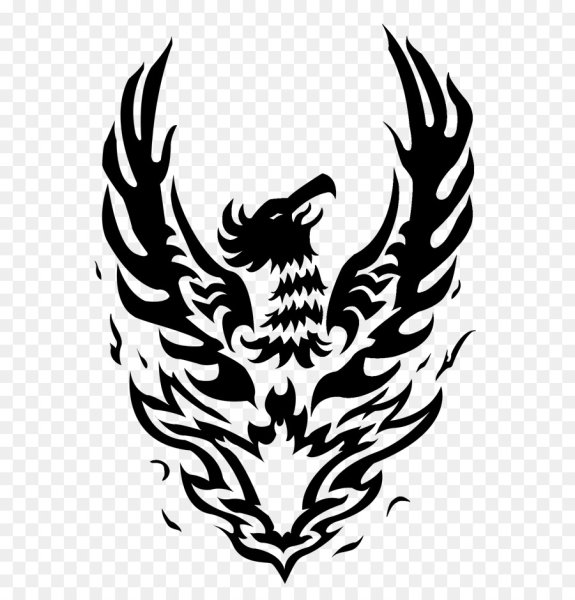 Орел черно белый