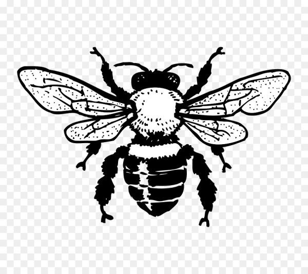 Графическая пчела