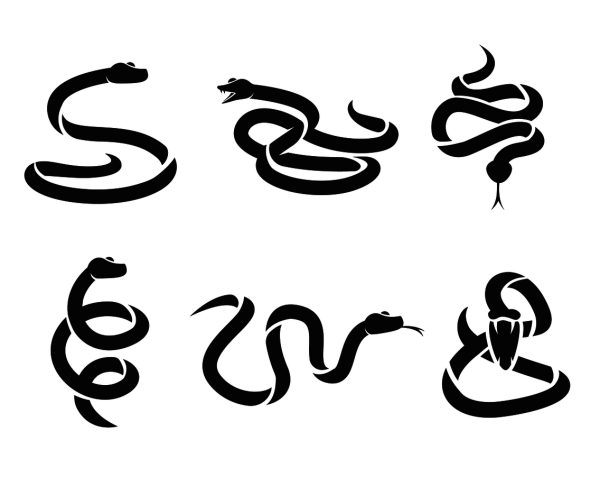 Очертание змеи