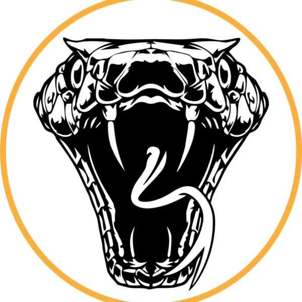 Стилизованная голова змеи