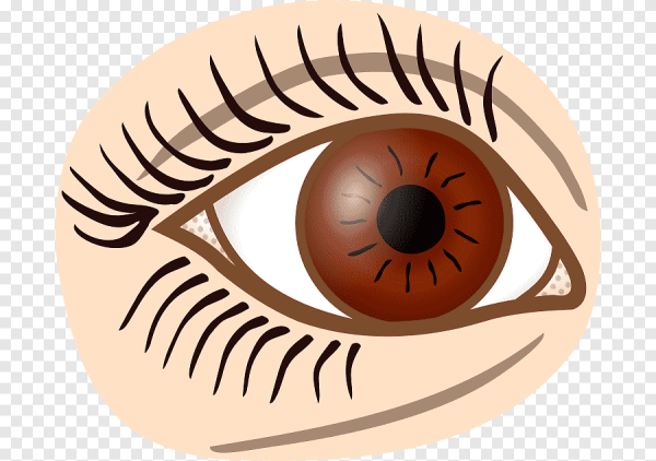 Глаза рисунок