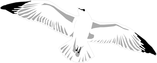 Чайки вектор