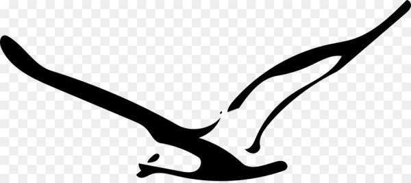 Чайка вектор