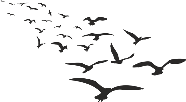 Силуэт Чайки