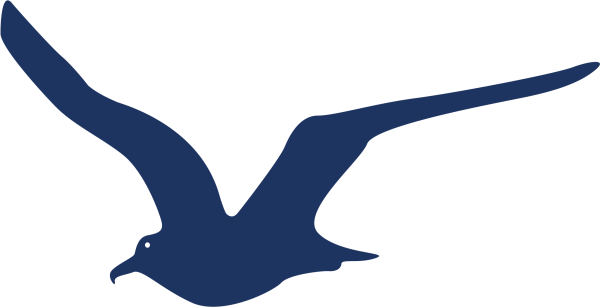 Силуэт Чайки в полете