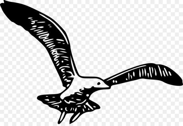 Чайка вектор