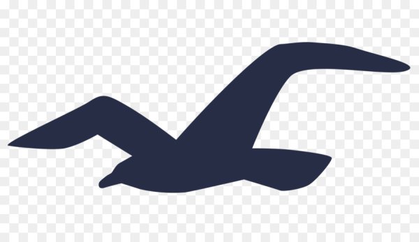 Hollister логотип