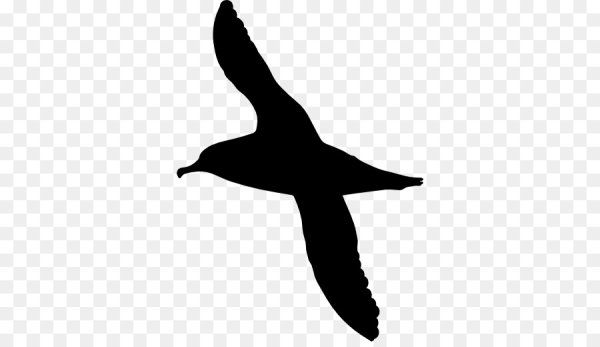 Силуэт Чайки