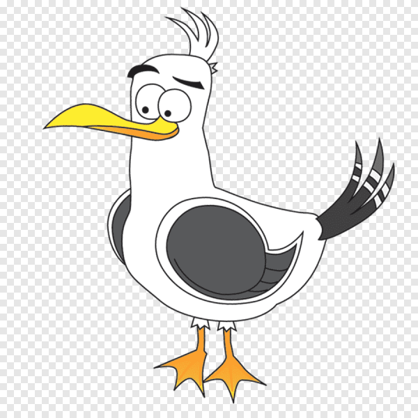 Чайка Графика