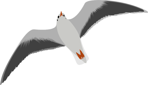 Чайки для вырезания