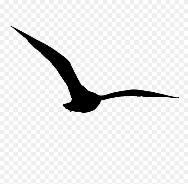 Силуэты птиц на белом фоне