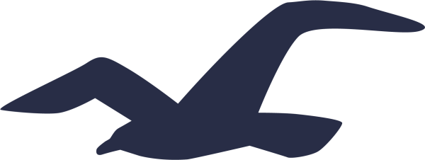 Чайка иконка