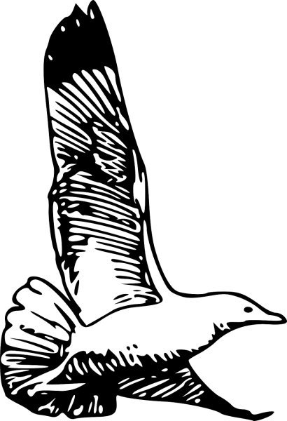 Стилизованное изображение Чайки