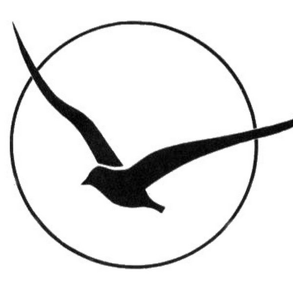 Стилизация Чайки