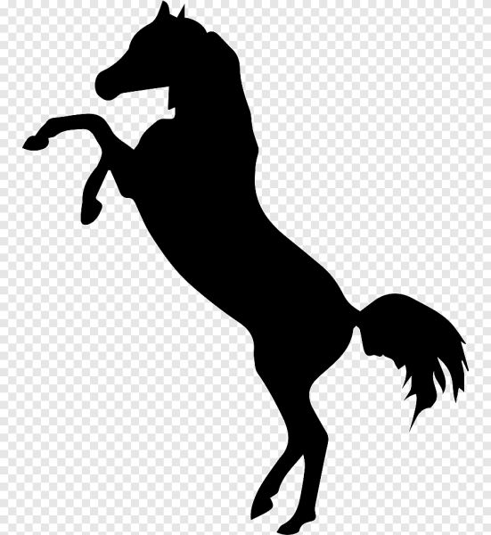 Трафарет лошадь на дыбах