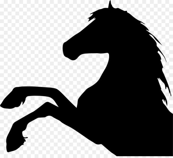 Силуэт лошади