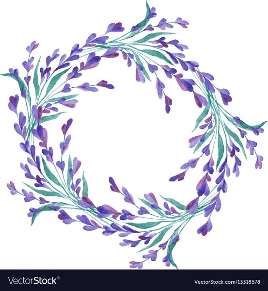 Лавандовый венок акварель