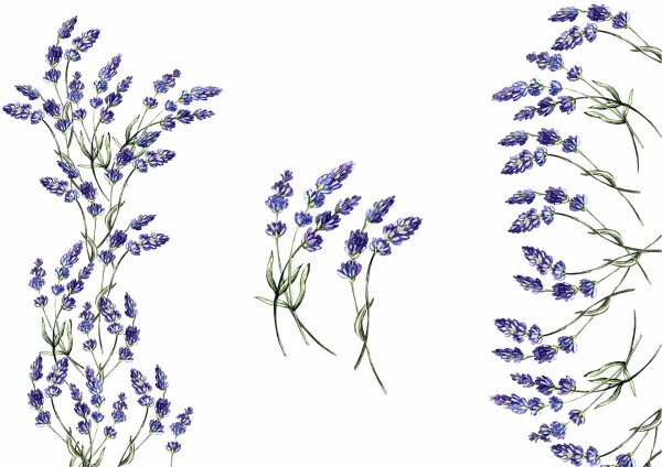 Лаванда орнамент