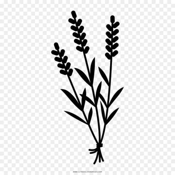 Веточка лаванды силуэт