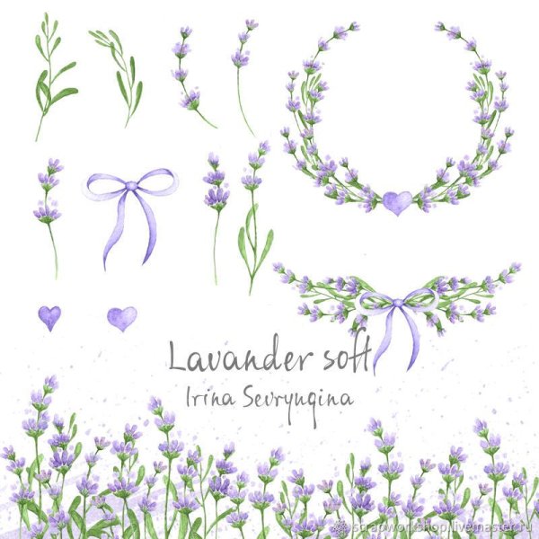 Ветка лаванды для логотипа
