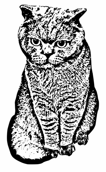 Кот в векторной графике