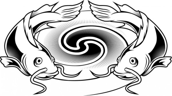 Сом раскраска