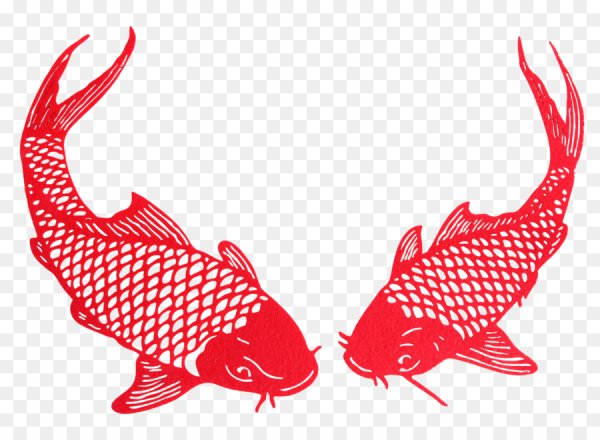 Японский Карп вектор