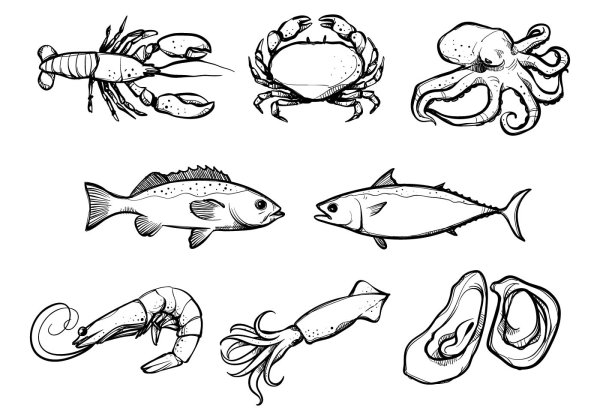 Морепродукты Графика