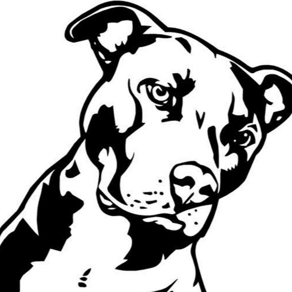 Эскизы питбуля