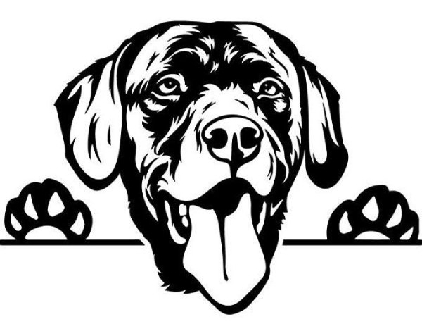 Трафарет лабрадора