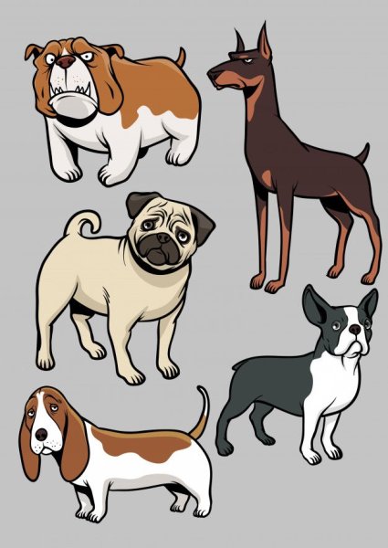 Собака Векторная Графика
