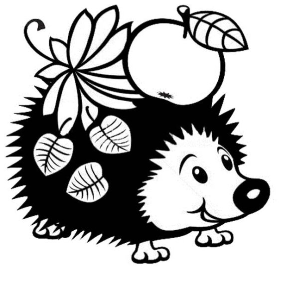 Ежик картинка для детей