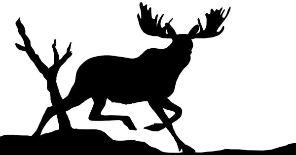 Лось силуэт
