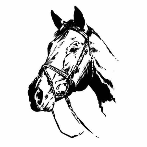 Голова лошади графический рисунок