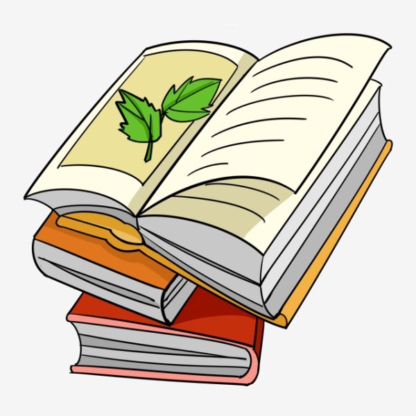 Раскрытая книжка