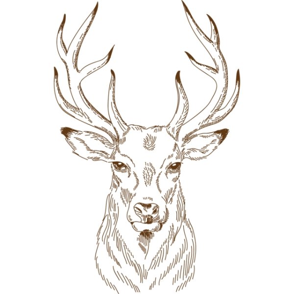 Голова оленя раскраска