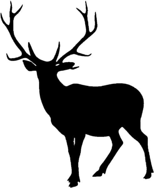 Силуэт пятнистого оленя
