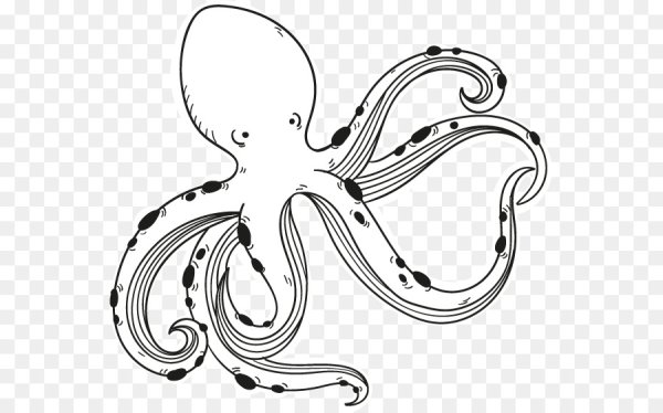Осьминог стилизация