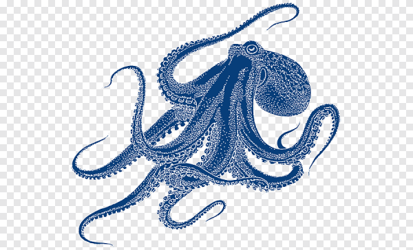 Осьминог на голубом фоне