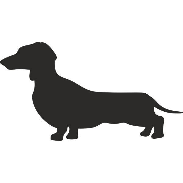 Такса на прозрачном фоне