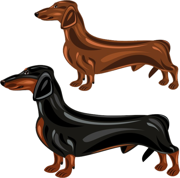 Длинная мультяшная такса