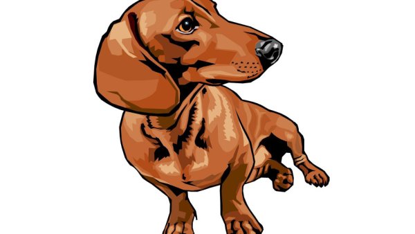 Таксы стилизация