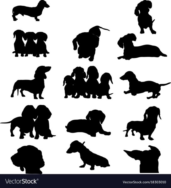 Такса логотип