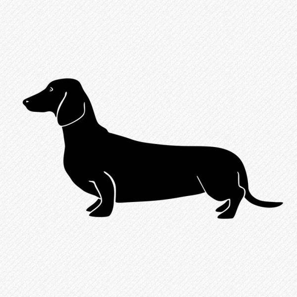 Такса контур