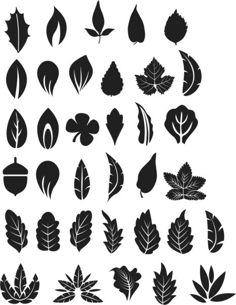 Листик силуэт