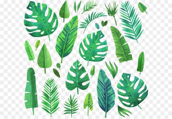 Тропические листья