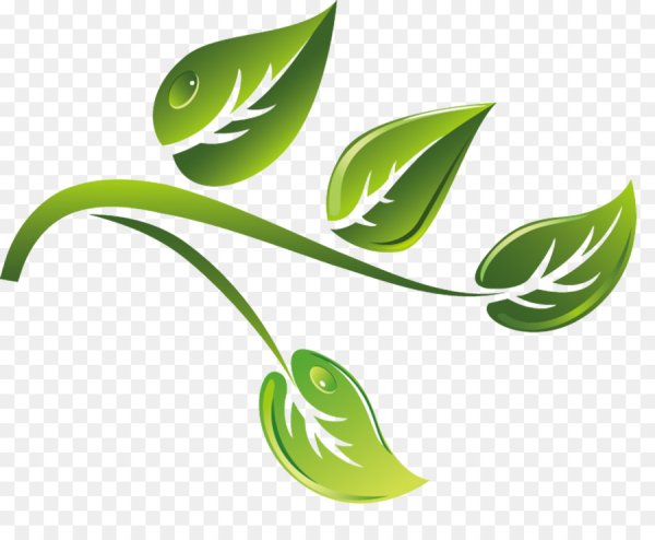 Листья вектор