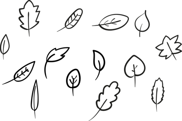 Листочки клипарт