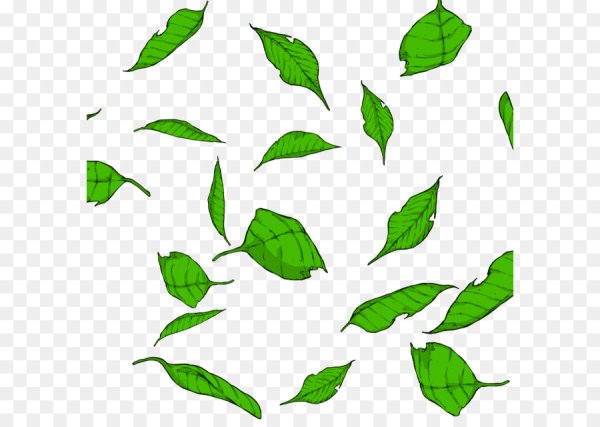 Зеленые листья Графика