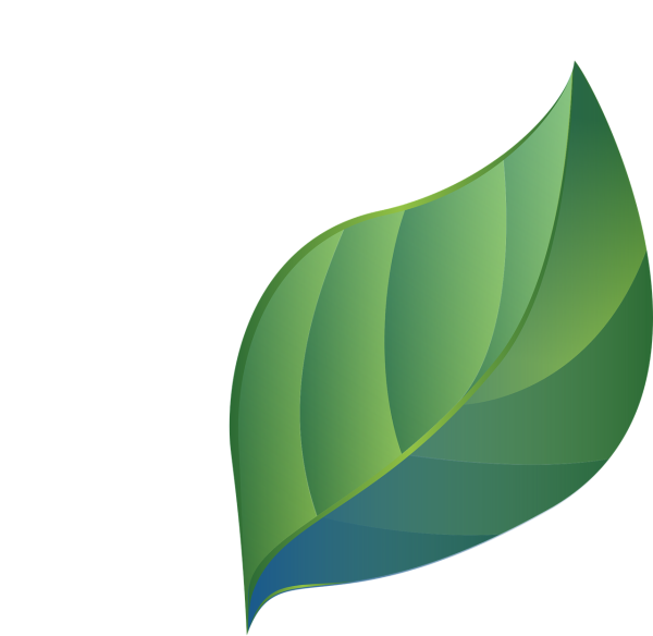 Листья вектор